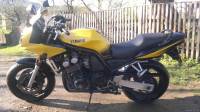 FZS600