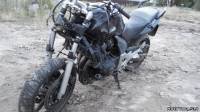CBF 600