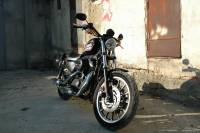 Sportster