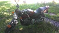 hornet 600