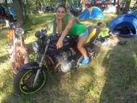 bandit 600