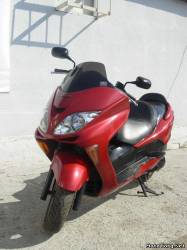 FORZA-250