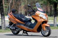 Bravo-260