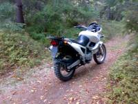 GS 650