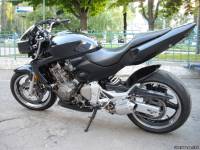 Hornet 600