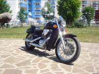 STEED VLX-600 Black Bird