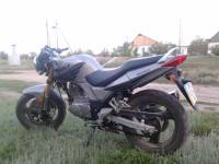 Wolf 200CC